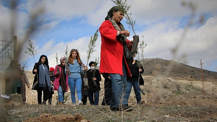 Kadın Muhtar Cinayete Kurban Giden Kadınların İsimlerini Ağaçlarda Yaşatacak