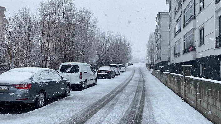 Karlıova'da kar yağışı etkili oldu