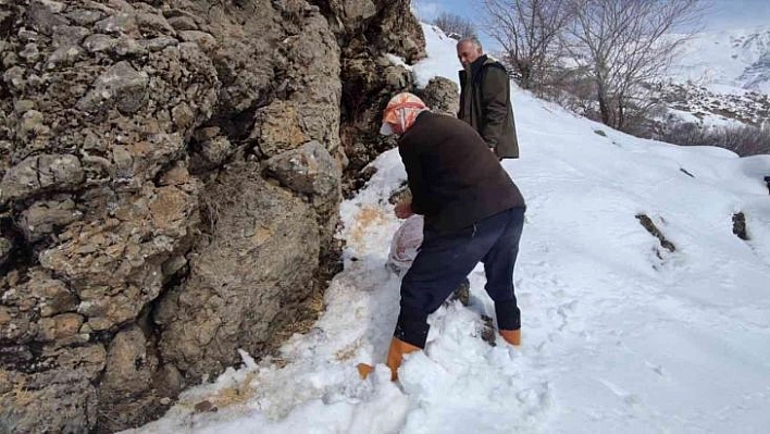 Karlıova kırsalına 550 kilo yem bırakıldı