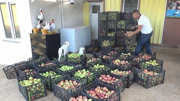 Kasalarca elmayı tepki için ücretsiz dağıttı