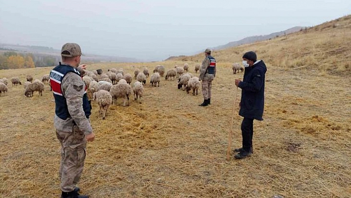 Kayıp koyunları jandarma drone ile buldu