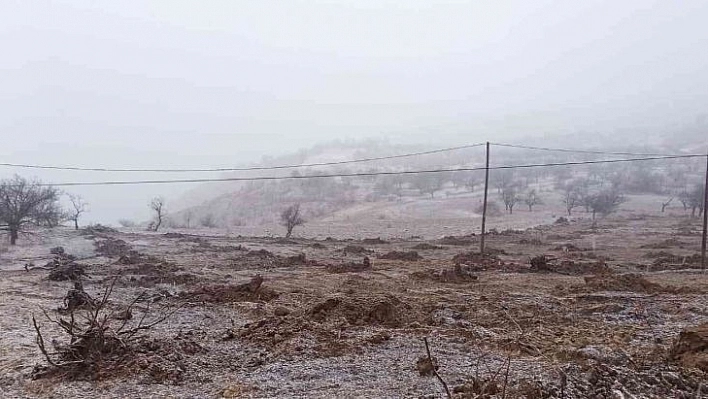 Kayısı bahçesinde çalışırken kara yakalandılar