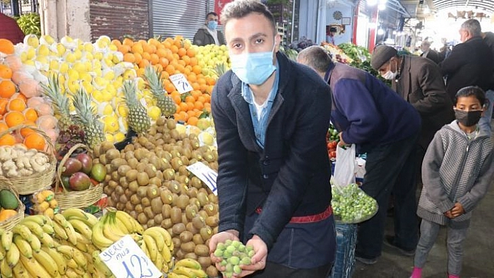 Kayısı kenti Malatya'da Mut kayısı satılıyor