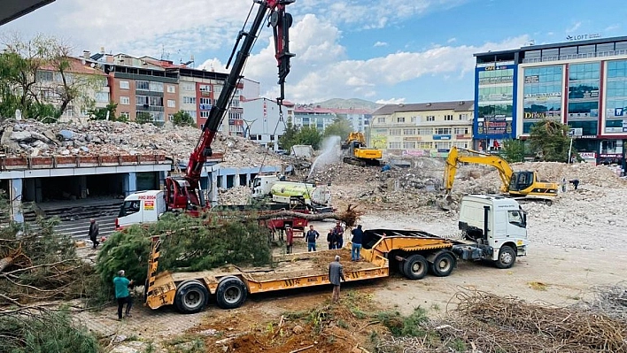 Kent Meydanının yapılacağı alandaki ağaçlar naklediliyor