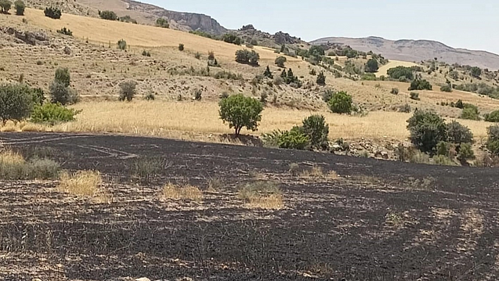 Komşu ilde 34 dönüm arpa yangında kül oldu