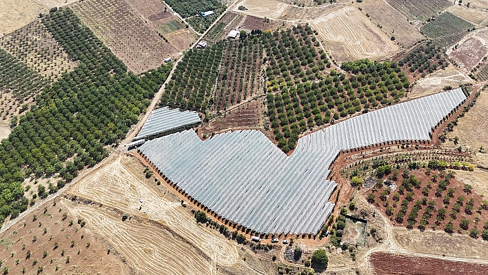 Komşu ilde hasat zamanı Tarlada 10 markette 40 TL