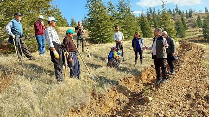 Kömürhan Sahası Ağaçlandırılıyor