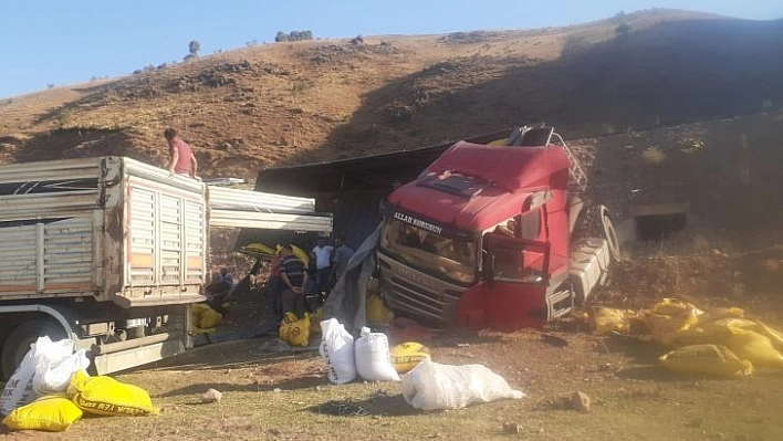 Kontrolden çıkan tır devrildi, yemler savruldu