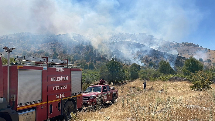 Köyde çıkan yangın ormana sıçradı