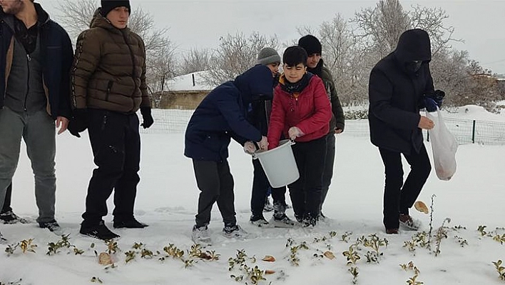 Kur'an Kursu Öğrencileri Sokak Hayvanları İçin Yem Bıraktı