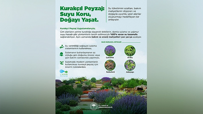Kurakçıl Peyzajla yüzde 80'e varan su tasarrufu!