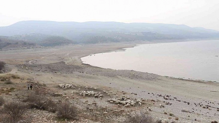 Kuraklık alarmı Malatya için de çalıyor