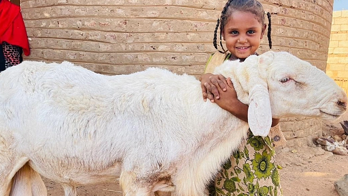 Kurbanlık Fiyatları Belli Oldu, Kasaplar Birliği Uyarıda Bulundu