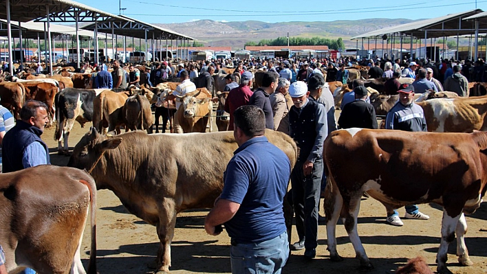 Kurbanlık Fiyatları Belli Oldu: İşte Hisse Bedelleri