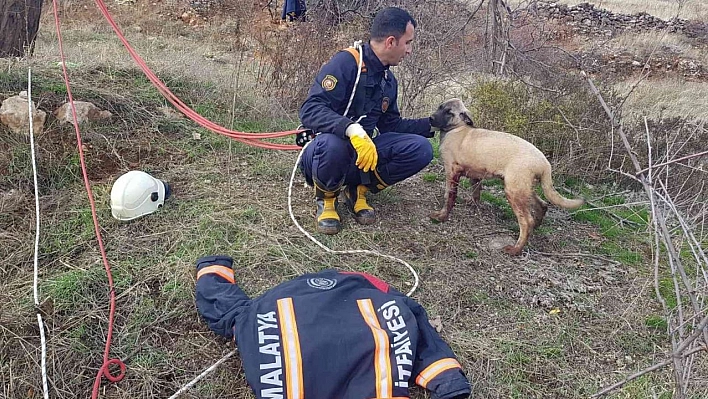 Kuyuya düşen köpek için zamanla yarıştılar