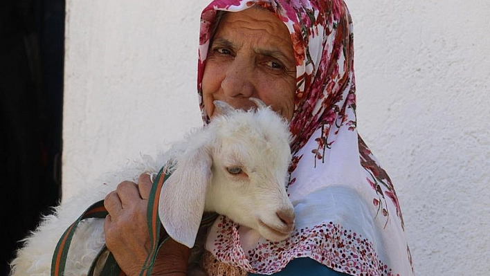 Kuzusuna bebek gibi bakıyor, yanından hiç ayırmıyor