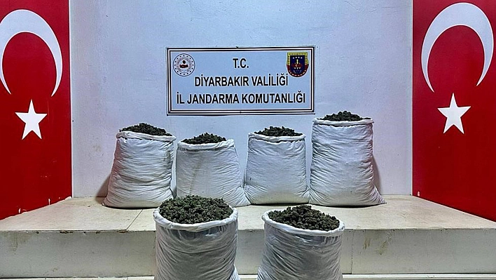 Lice'de 3 Ayrı Noktada 79 Kilo Esrar Ele Geçirildi