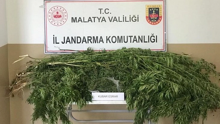 Malatya'da 1 kilo esrar ele geçirildi