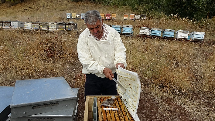 Malatya'da bal hasadı tamamlandı