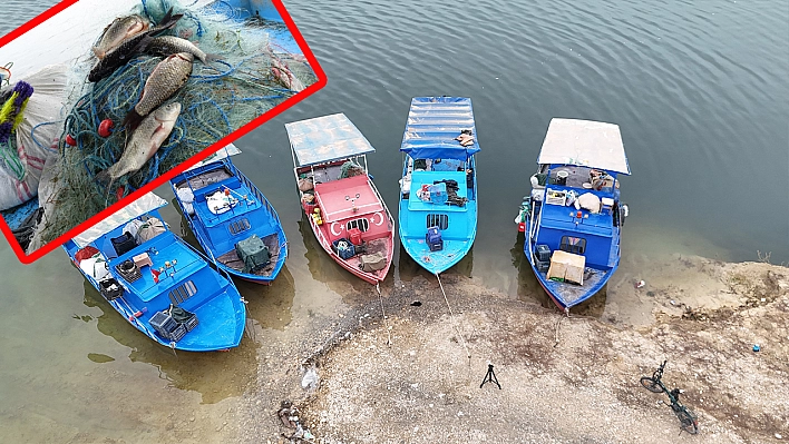 Malatya'da barajdan çıkan balıklar Ortadoğu sofralarına uzandı