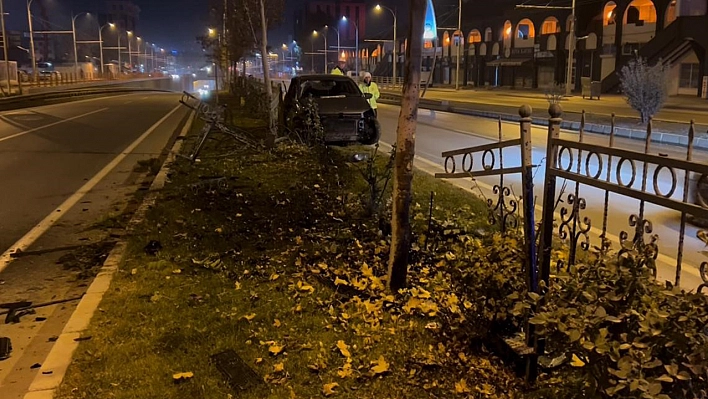 Malatya'da başıboş köpek kazaya neden oldu: Sürücü yaralandı
