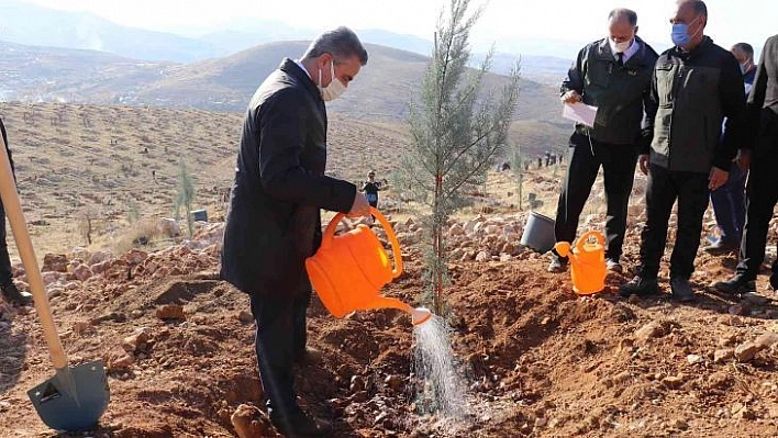 Malatya'da bir yılda 2 milyon 250 bin fidan toprakla buluşacak