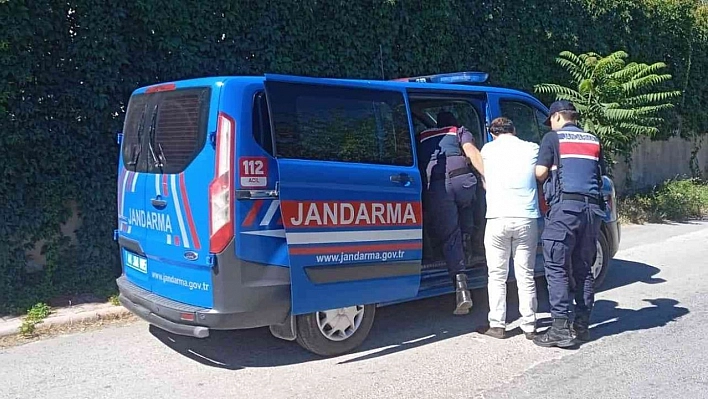 Malatya'da jandarmadan terör operasyonu