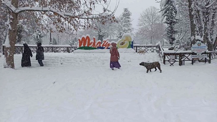 Malatya'da kar yağışı kartpostallık görüntüler oluşturdu