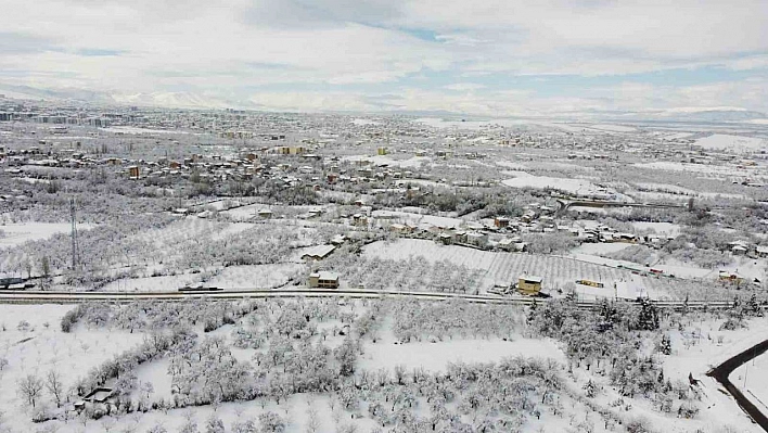 Malatya'da kayısı bahçeleri beyaz gelinliğini giydi