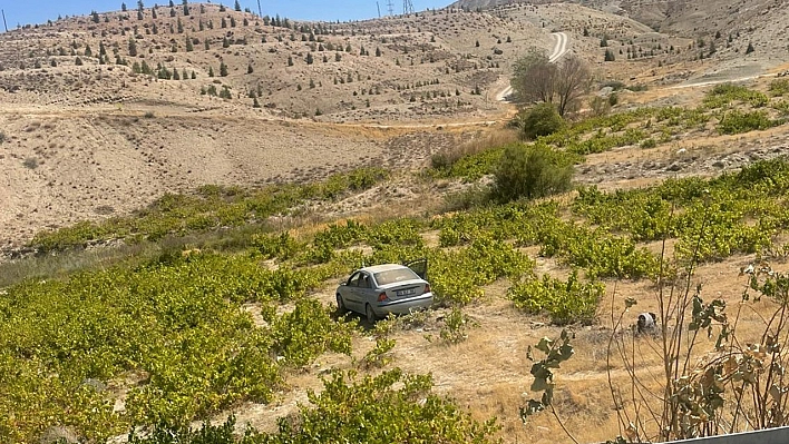 Malatya'da kontrolden çıkan araç üzüm bağına uçtu: 2 yaralı
