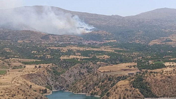 Malatya'da orman yangınına havadan müdahale