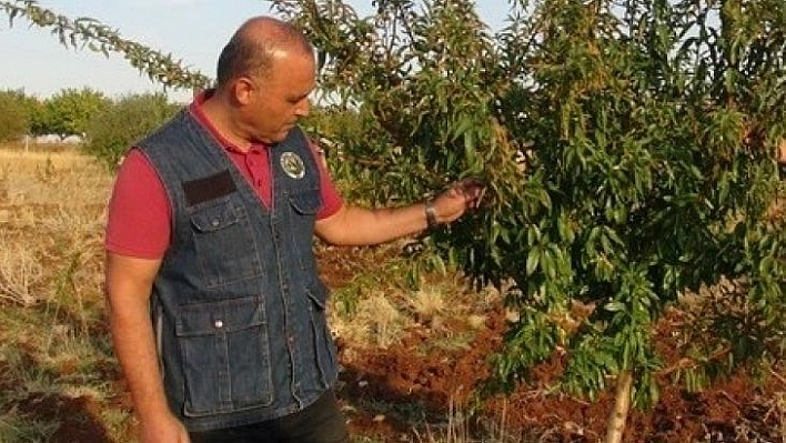 Malatya'da piknik yapanlara yangın uyarısı