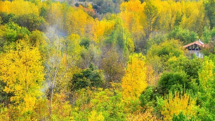 Malatya'da sonbahar ayrı güzel