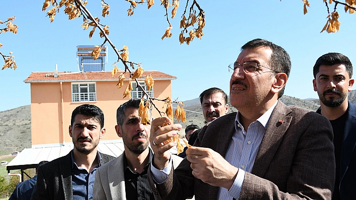 Malatya'da zirai don destek ödemeleri başlıyor