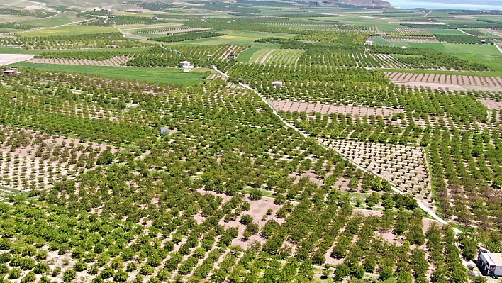 Malatya'ya Giriş İzni Sadece Elazığ ve Şanlıurfa'ya