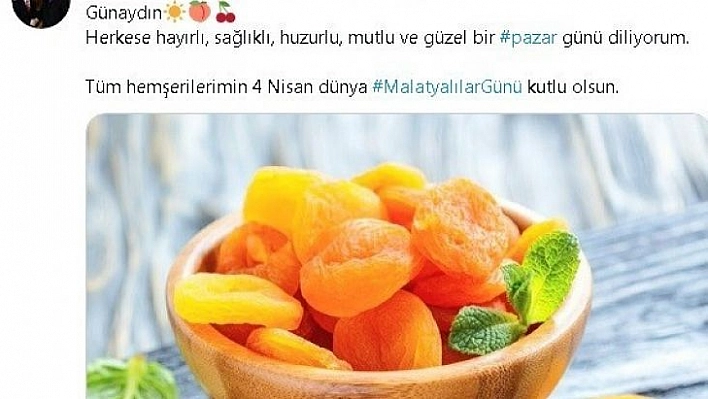 Malatyalılar günü kutlamaları sanalda