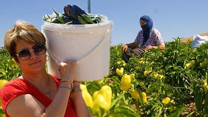 Marketlerdeki fahiş fiyata kızdı, tarlasını vatandaşlara açtı