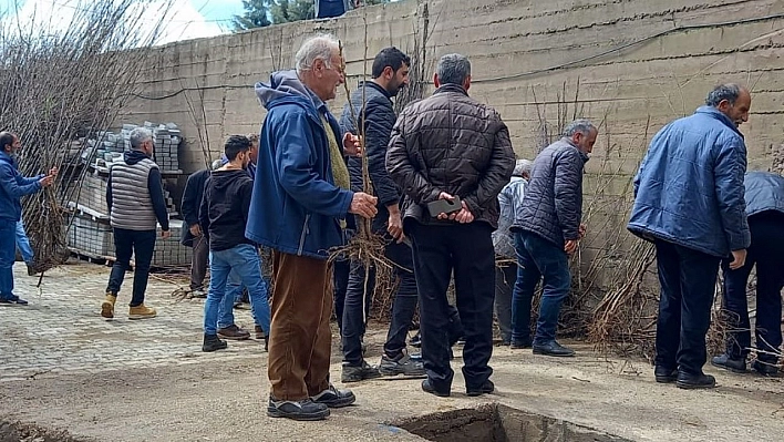 Memleketine her yıl binlerce fidan gönderiyor