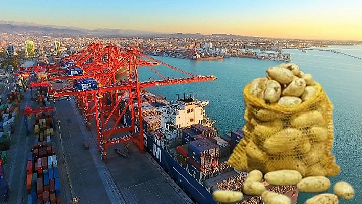 Mersin limanında virüslü patates alarmı
