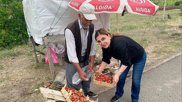 Meşhur Kuyulu Çileği Yol Kenarında Yerini Aldı