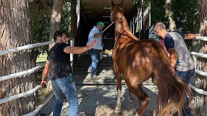 Milyonluk Taylar Görücüye Çıkmaya Hazırlanıyor