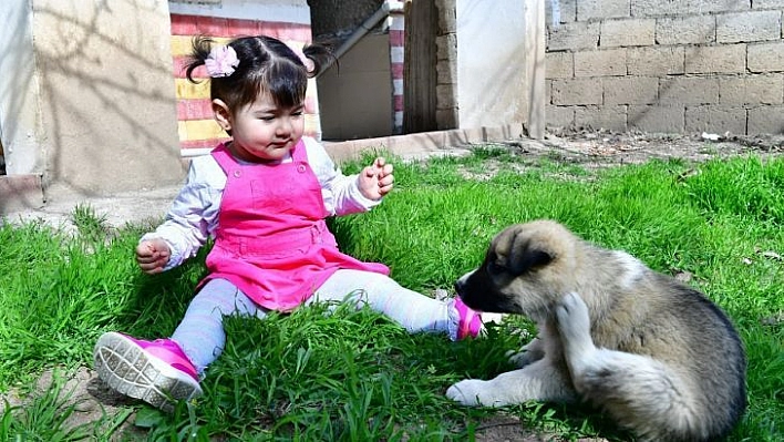 Minik Nisa'ya köpek hediyesi