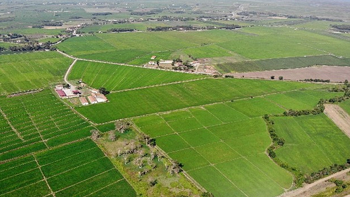 Miras Kalan Tarla Sahiplerine Müjde: Devletten Her Ay Düzenli Ödeme