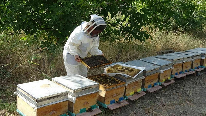 MTÜ'de bal hasadı tamamlandı