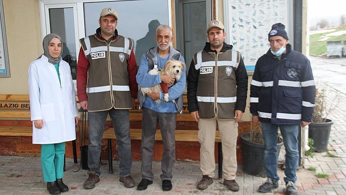 Muğla'da çalınan köpek, çipi sayesinde Elazığ'da bulunarak sahibine teslim edildi