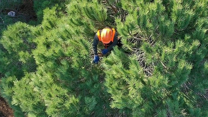 OGM'nin işçi alımında kadro detayları belli oldu