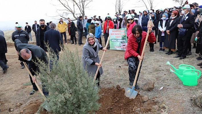 Öğretmenler Adına Fidan Dikim Etkinliği Gerçekleştirildi