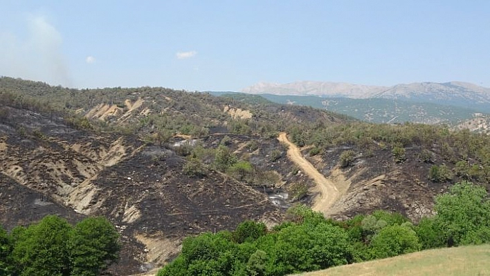 Orman yangınına havadan ve karadan müdahale sürüyor, yüzde 70 oranında kontrol altına alındı