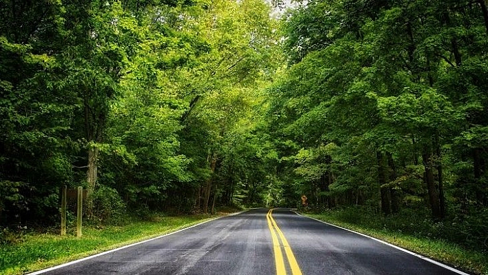 Orman yolu yaptırılacaktır