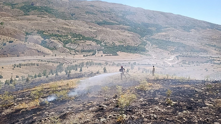 Ormanlar hepimizin yakma, yaktırma!